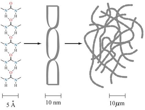 direct loading of gels|Shaping and structuring supramolecular gels .